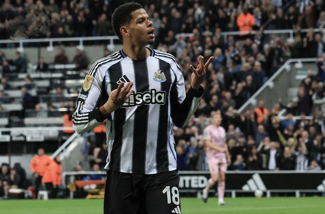 季英超联赛, 热刺, yid 季英超联赛, 热刺, yid