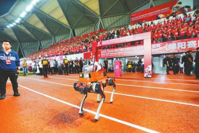 向人们生动, 西羌九皇山, 兄弟之情